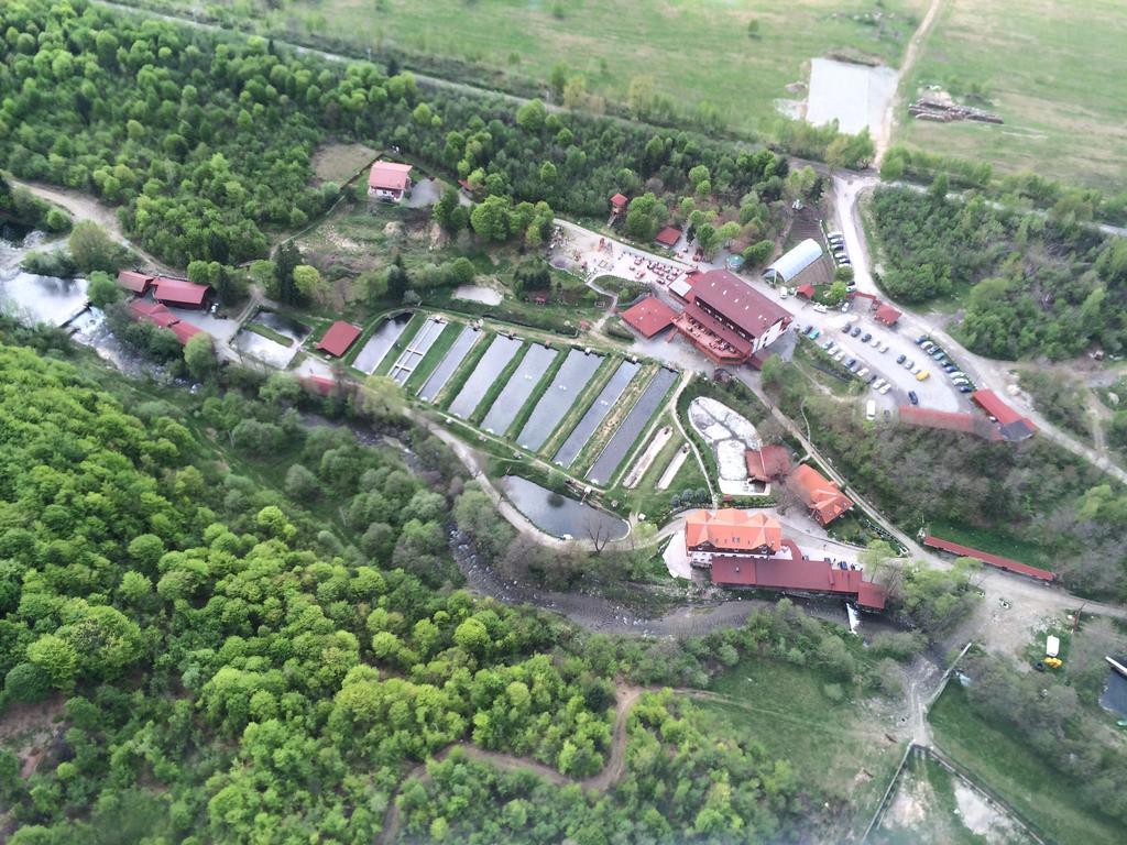 Complex Pastravaria Albota Arpaşu de Sus 외부 사진
